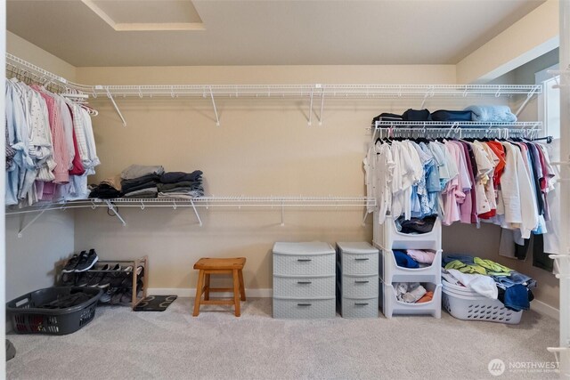 7728 213th St SE, Snohomish, WA 98290 - photo 29