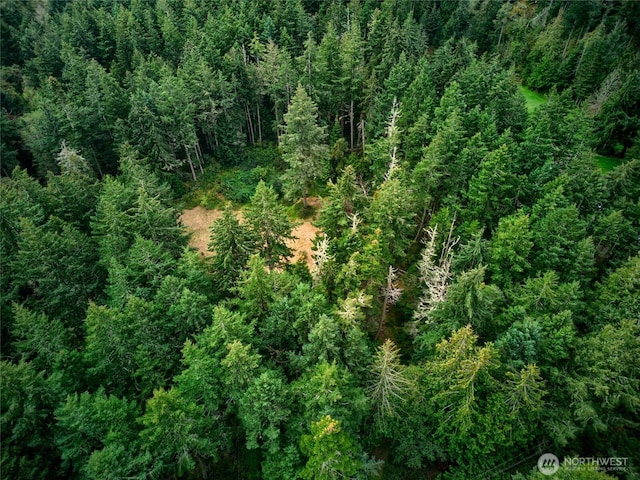 3596 Green Cliffs Rd, Anacortes, WA 98221 - photo 1