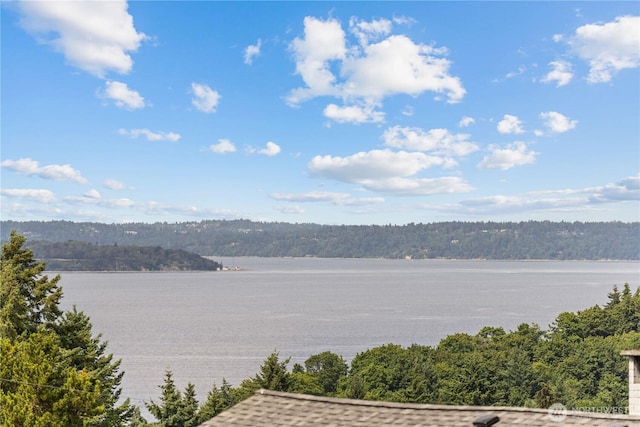 6101 Agnes Rd NE, Tacoma, WA 98422 - photo 39