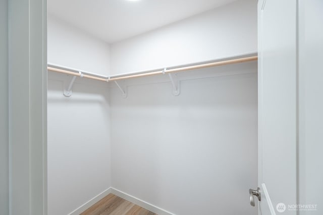 1325 Shaw St, Moses Lake, WA 98837 - spacious closet with light wood-style flooring