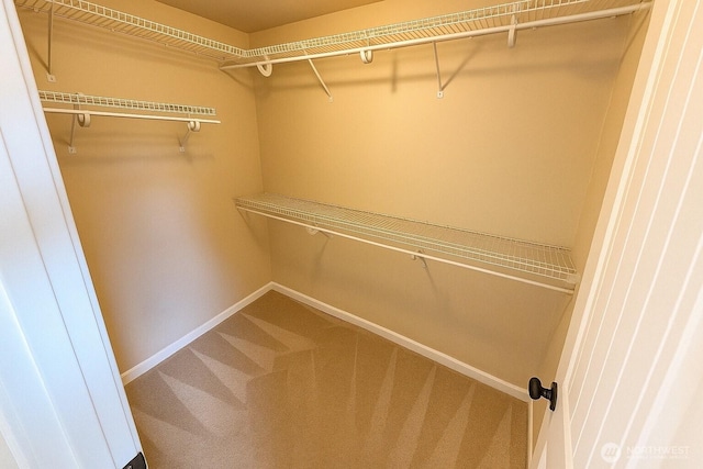 20211 85th Avenue Ct E, Spanaway, WA 98387 - walk in closet featuring carpet