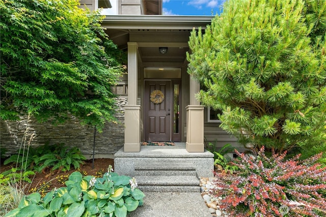1129 Birch Falls Dr, Bellingham, WA 98229 - view of exterior entry featuring stone siding