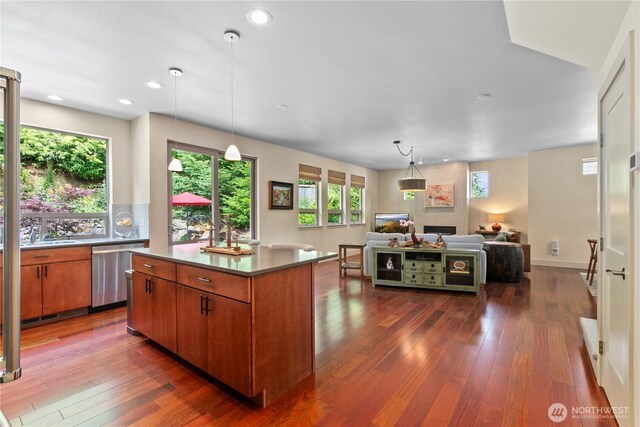 1129 Birch Falls Dr, Bellingham, WA 98229 - kitchen with stainless steel dishwasher, brown cabinets, dark wood finished floors, and recessed lighting