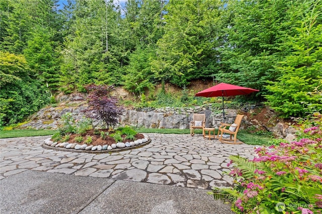 1129 Birch Falls Dr, Bellingham, WA 98229 - view of patio / terrace