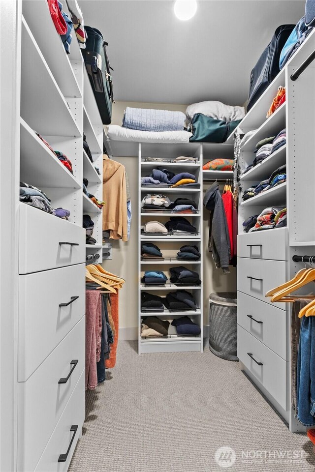 1129 Birch Falls Dr, Bellingham, WA 98229 - spacious closet featuring carpet floors