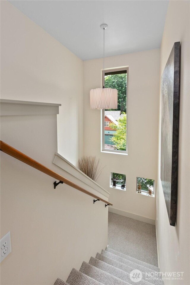 1129 Birch Falls Dr, Bellingham, WA 98229 - stairway with carpet and baseboards