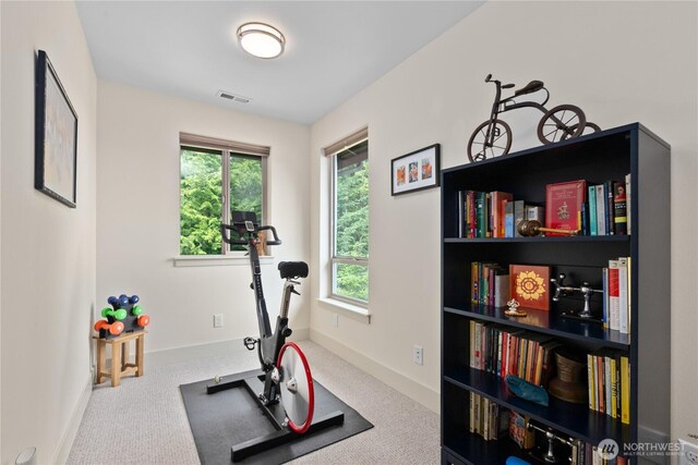 1129 Birch Falls Dr, Bellingham, WA 98229 - exercise room with baseboards and carpet