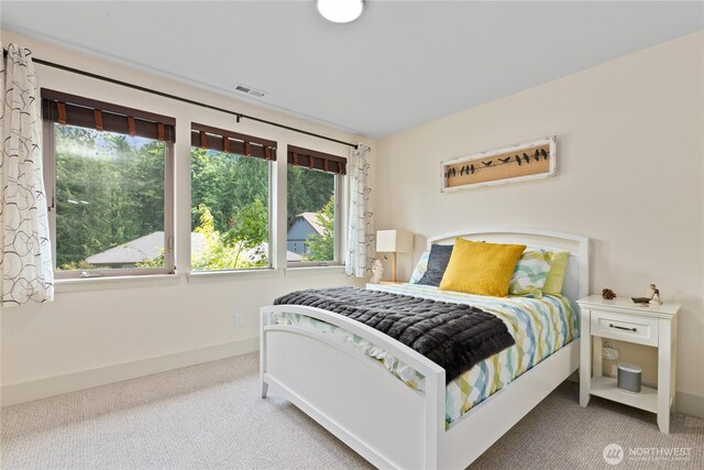 1129 Birch Falls Dr, Bellingham, WA 98229 - carpeted bedroom with baseboards