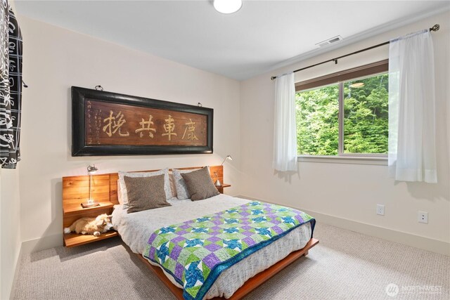 1129 Birch Falls Dr, Bellingham, WA 98229 - bedroom with carpet flooring and baseboards