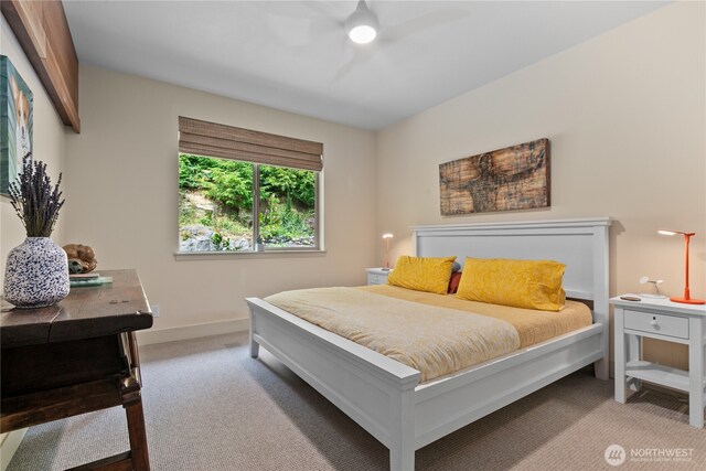 1129 Birch Falls Dr, Bellingham, WA 98229 - bedroom with carpet floors and a ceiling fan