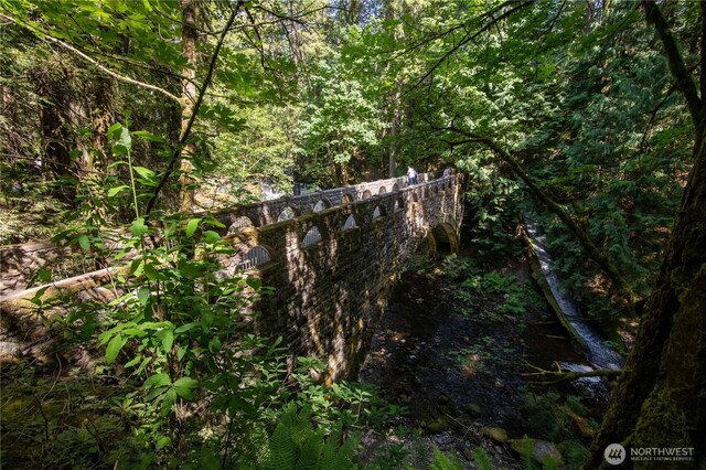 1129 Birch Falls Dr, Bellingham, WA 98229 - exterior view of a forest