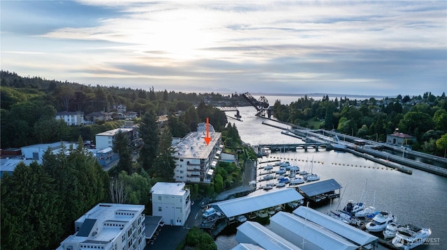 3100 W Commodore Way Unit 307, Seattle, WA 98199 - photo 37