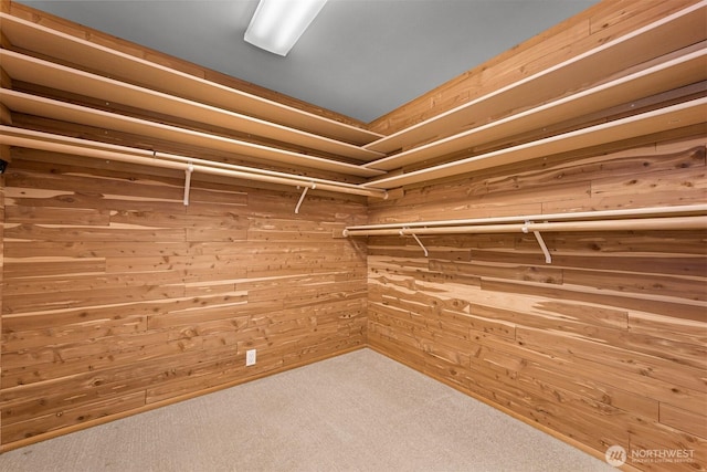 5788 Hannegan Rd, Bellingham, WA 98226 - walk in closet with carpet floors