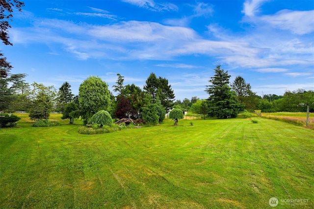 5788 Hannegan Rd, Bellingham, WA 98226 - view of grassy yard