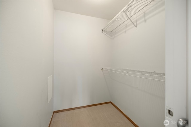 10307 140th Street Ct E Unit 3, Puyallup, WA 98374 - walk in closet with light carpet