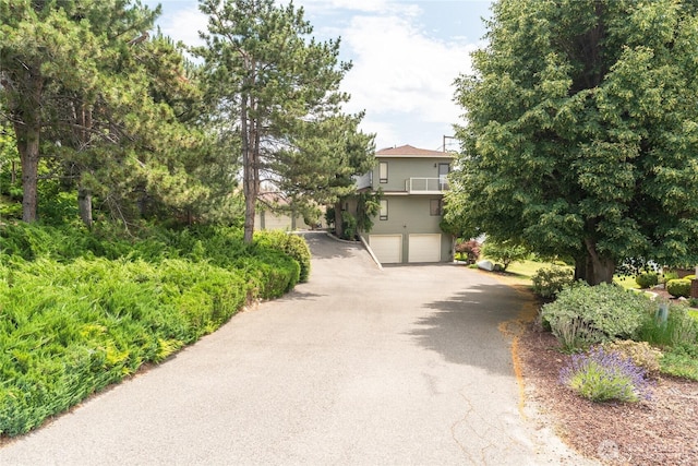 217 Pinnacle Pl, Chelan, WA 98816 - photo 6