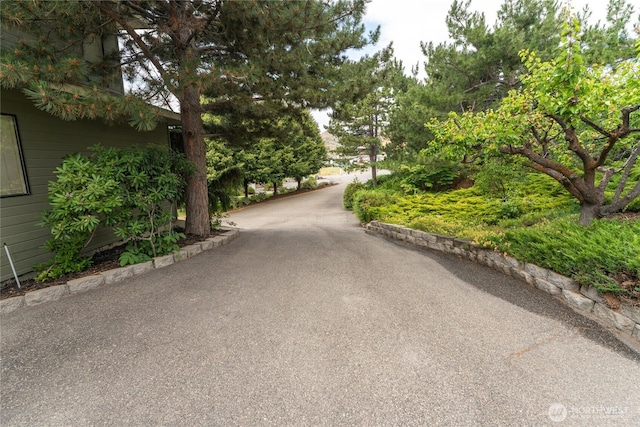 217 Pinnacle Pl, Chelan, WA 98816 - photo 7