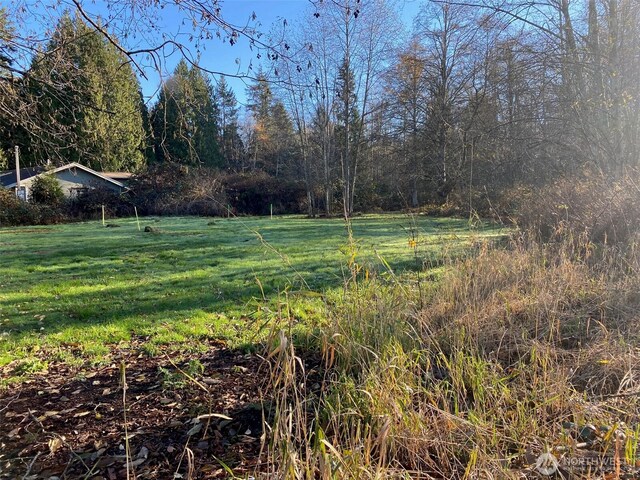 4255 W Rd, Blaine, WA 98230 - photo 5