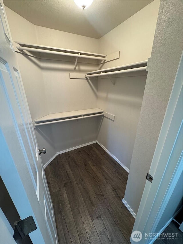20116 85th Avenue Ct E, Spanaway, WA 98387 - spacious closet with dark wood-style floors