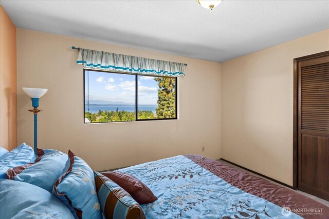 1125 Vista Pl, Edmonds, WA 98020 - bedroom with a closet