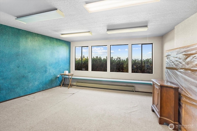 1125 Vista Pl, Edmonds, WA 98020 - spare room featuring a baseboard heating unit, light colored carpet, plenty of natural light, and a textured ceiling