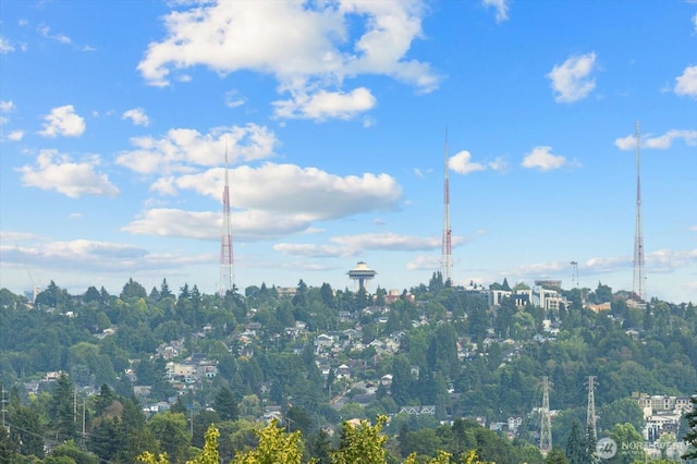 6545 Division Ave NW, Seattle, WA 98117 - photo 28