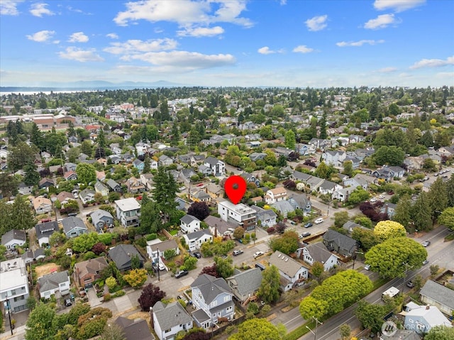 6545 Division Ave NW, Seattle, WA 98117 - photo 36