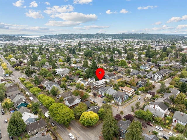 6545 Division Ave NW, Seattle, WA 98117 - photo 38