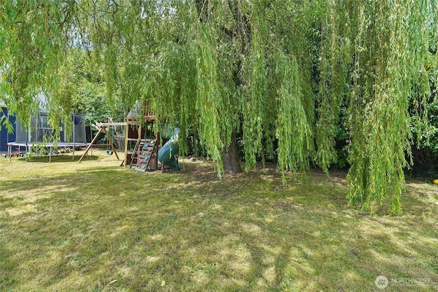 6817 S D St, Tacoma, WA 98408 - view of green lawn with a trampoline and a playground