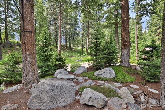 7905 Mountain Home Rd, Leavenworth, WA 98826 - view of local wilderness