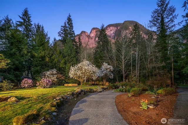 7517 Moon Valley Rd SE, North Bend, WA 98045 - photo 9