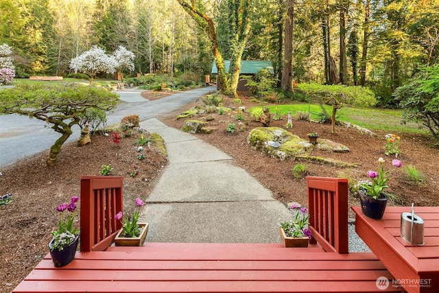 7517 Moon Valley Rd SE, North Bend, WA 98045 - photo 10
