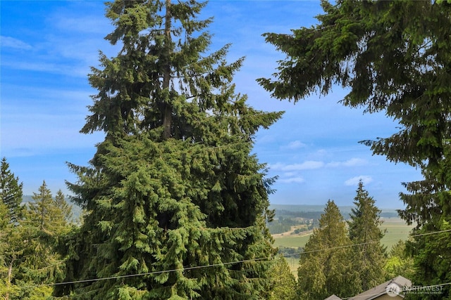 7416 E Heather Way, Everett, WA 98203 - mountain view