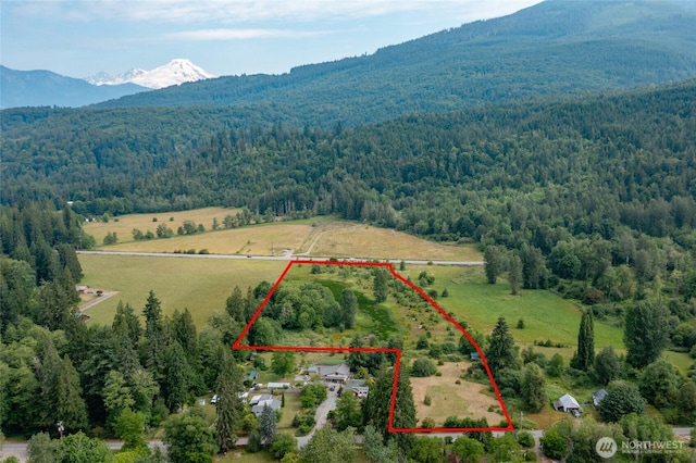 48045 Moen Rd, Concrete, WA 98237 - photo 3