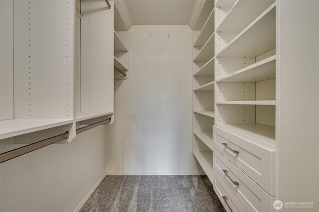 1732 NW 29th Cir, Camas, WA 98607 - spacious closet featuring carpet floors