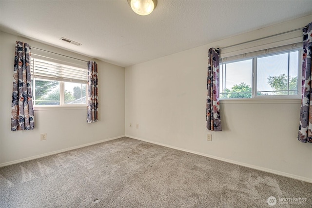 1732 NW 29th Cir, Camas, WA 98607 - unfurnished room with plenty of natural light and carpet floors