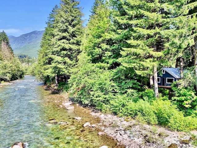 12319 744th Ave NE, Skykomish, WA 98288 - mountain view featuring a heavily wooded area