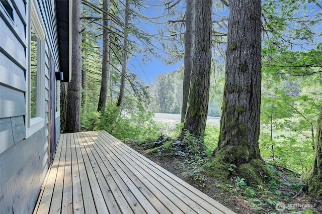 12319 744th Ave NE, Skykomish, WA 98288 - view of wooden deck