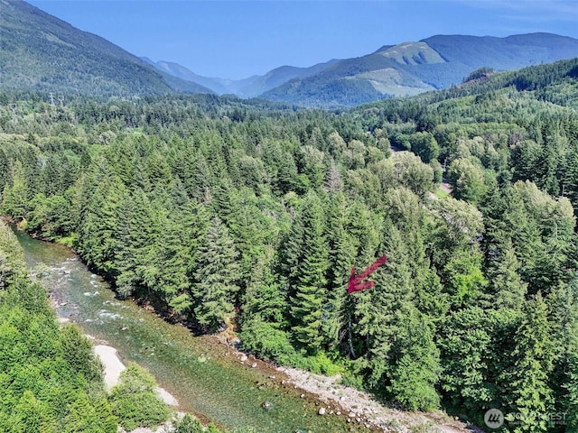 12319 744th Ave NE, Skykomish, WA 98288 - mountain view with a heavily wooded area
