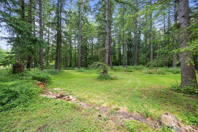 8143 Custer School Rd, Custer, WA 98240 - photo 38