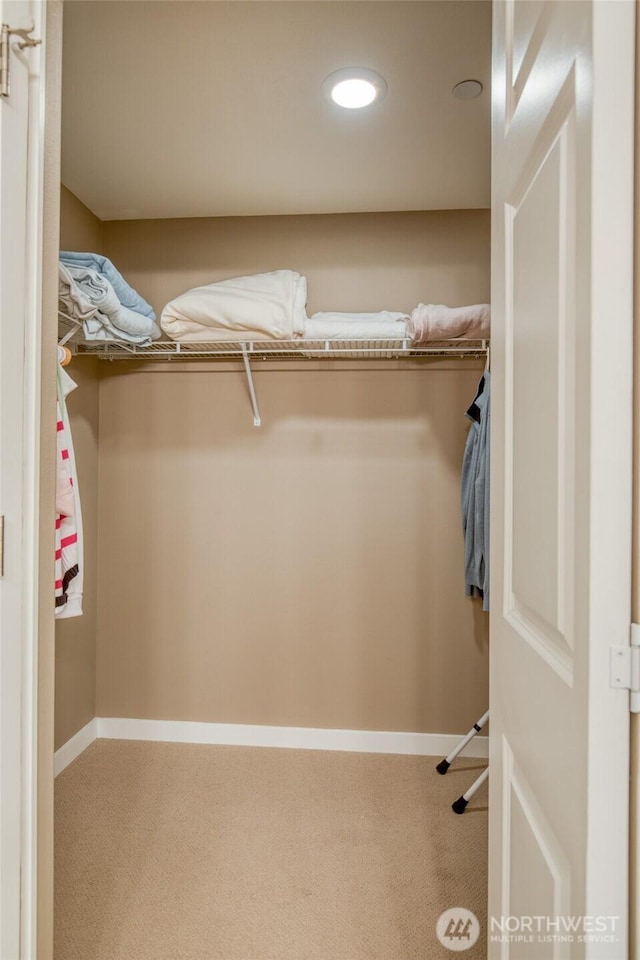 262 Oyhut Bay Blvd SW Unit 204, Ocean Shores, WA 98569 - spacious closet with carpet flooring
