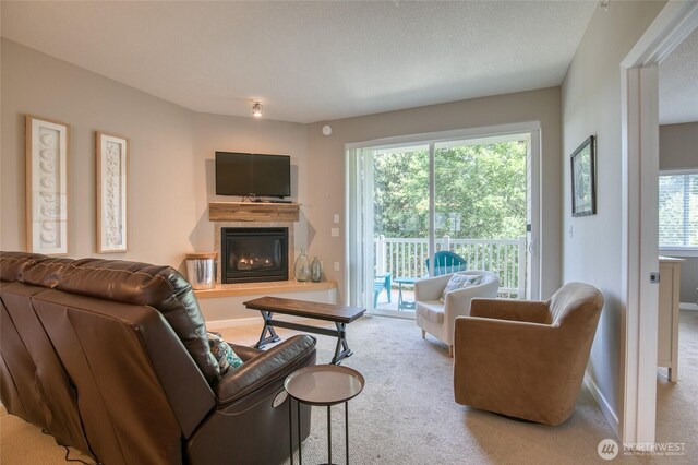 262 Oyhut Bay Blvd SW Unit 204, Ocean Shores, WA 98569 - living area with carpet flooring and a glass covered fireplace