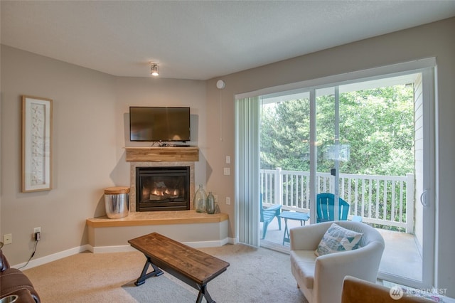 262 Oyhut Bay Blvd SW Unit 204, Ocean Shores, WA 98569 - living area featuring a tile fireplace and carpet