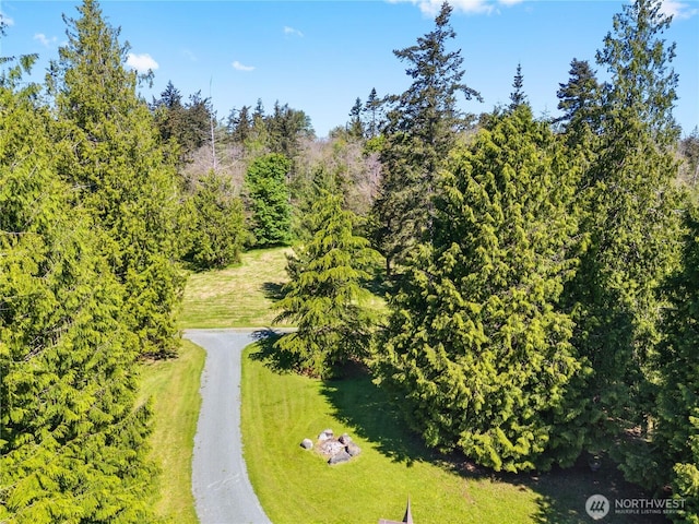 5513 Homestead Ln, Anacortes, WA 98221 - bird's eye view