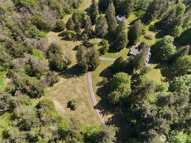 5513 Homestead Ln, Anacortes, WA 98221 - drone / aerial view