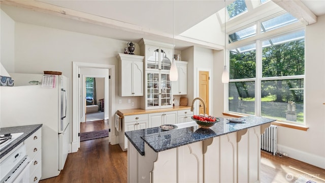 5513 Homestead Ln, Anacortes, WA 98221 - kitchen with radiator heating unit, dark wood finished floors, oven, and healthy amount of natural light