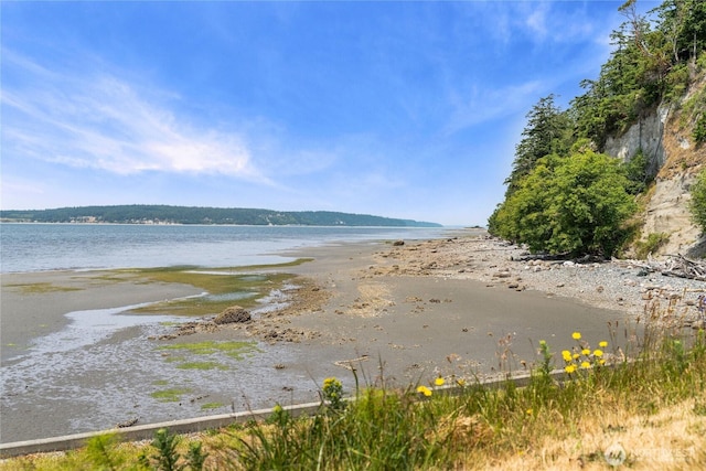 3555 S Holmes View Dr, Langley, WA 98260 - water view
