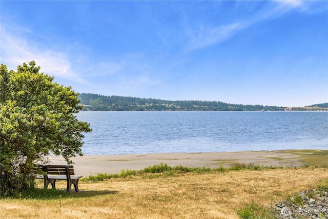 3555 S Holmes View Dr, Langley, WA 98260 - water view