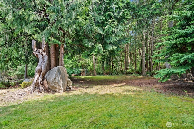 3555 S Holmes View Dr, Langley, WA 98260 - view of green lawn featuring a forest view