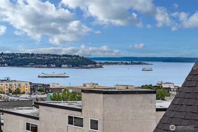 823 Warren Ave N, Seattle, WA 98109 - water view
